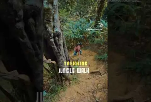 Preview image for the video "Premium Resort in 900 Kandi Wayanad – Luxury Stay in the Clouds".